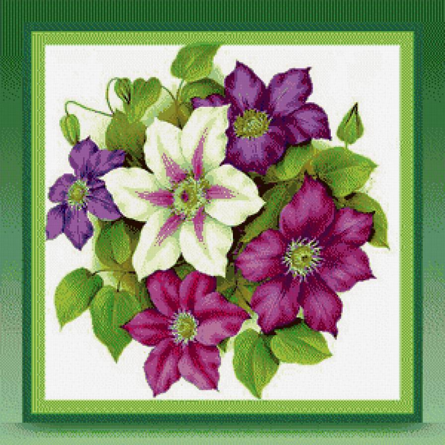 Клематисы - цветы - предпросмотр