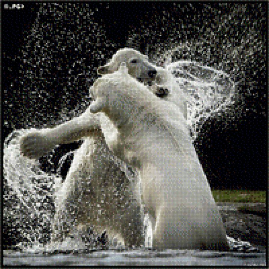 Сила - предпросмотр