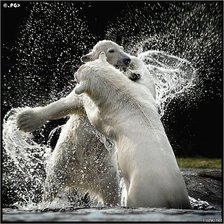 Схема вышивки «Сила»