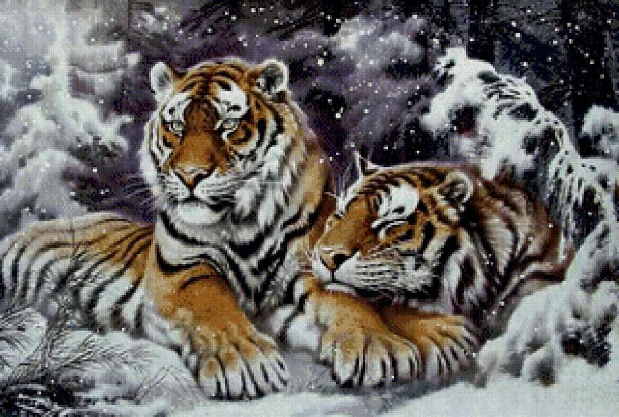 Серия "Дикая природа" - пейзаж, отдых, хищники, снег, зима, лес, тигры - предпросмотр