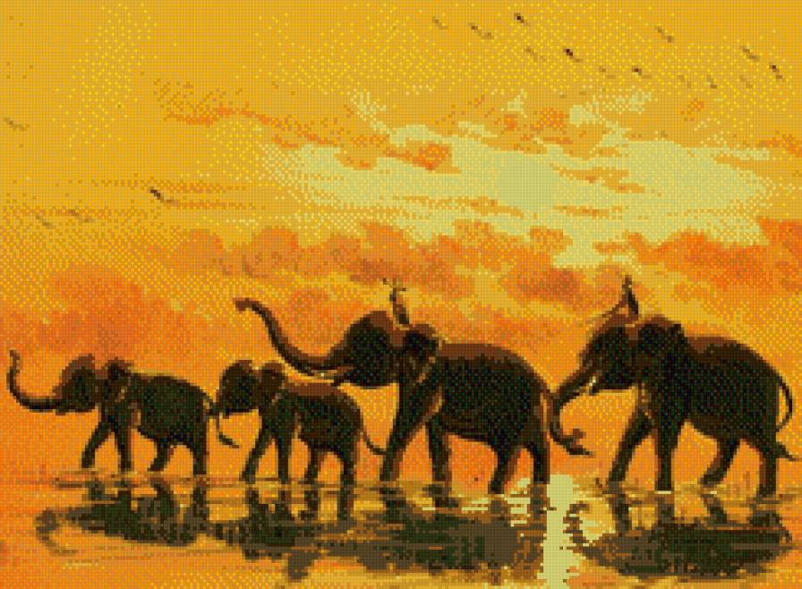 слоны - слоны, закат - предпросмотр