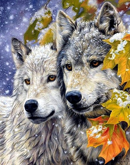 вовки - оригинал