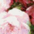 Предпросмотр схемы вышивки «садовые розы» (№974163)
