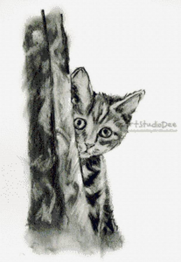 За дверью родного дома - кошка, кошки, монохром - предпросмотр