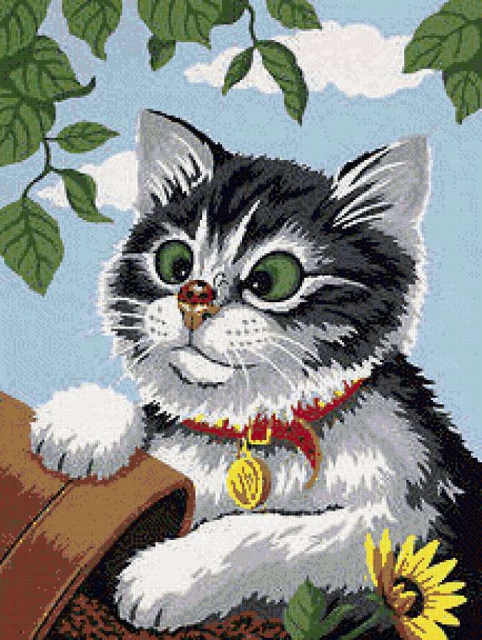 неожиданная встреча - божья коровка, котик - предпросмотр