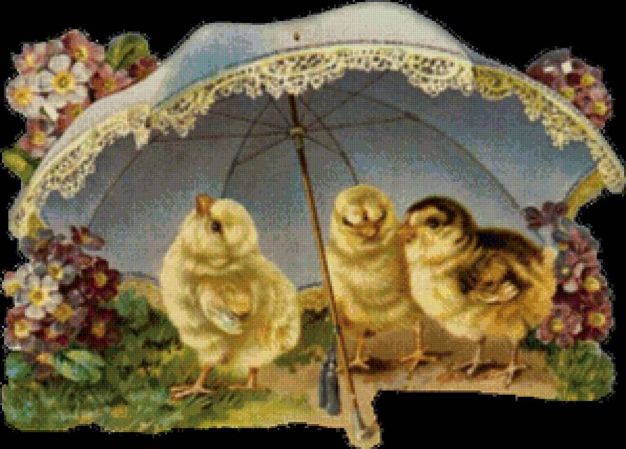 №974325 - предпросмотр