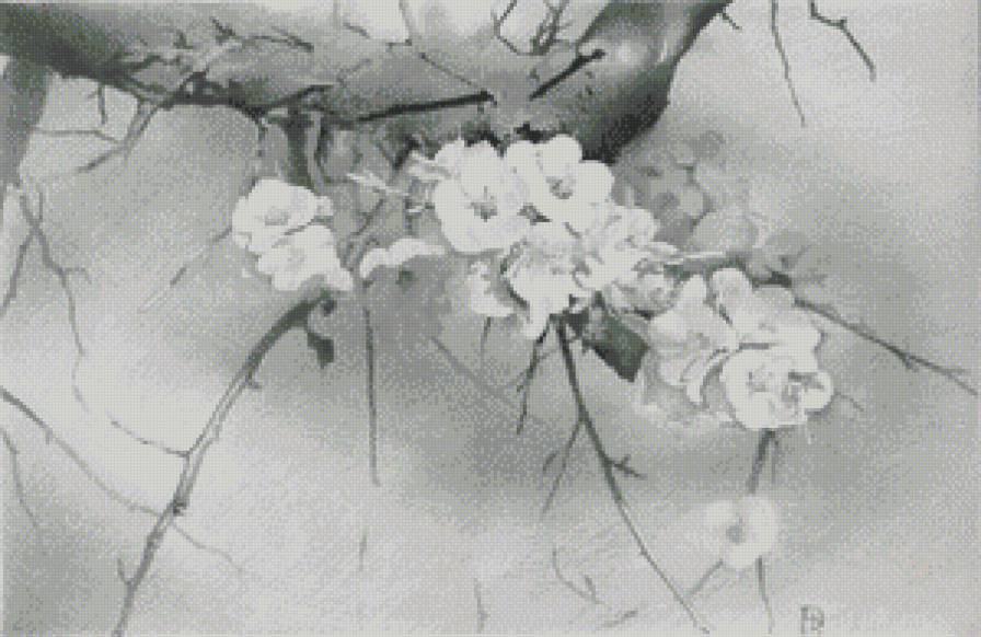 Цветущее дерево - дерево, монохром, цветы - предпросмотр