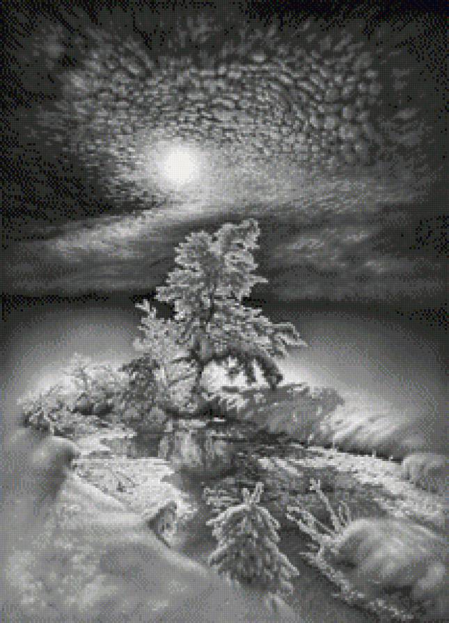 Зима, монохром - зима, монохром - предпросмотр