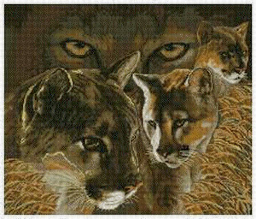 №975352 - предпросмотр