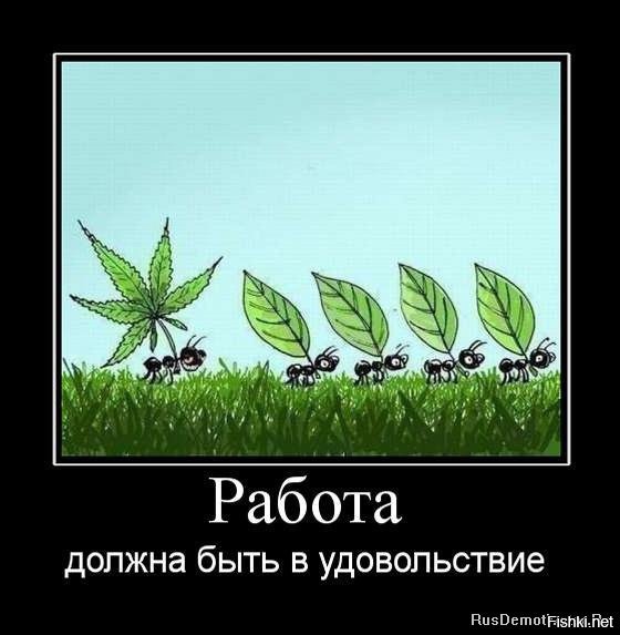 Мураши - оригинал