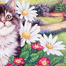 Котёнок в ромашках