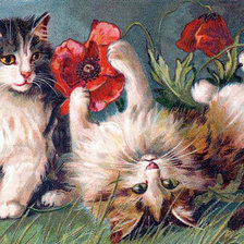 Схема вышивки «№975668»