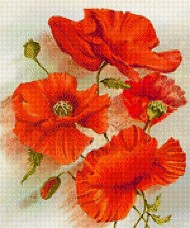 вышивка на подушку маки - маки - предпросмотр