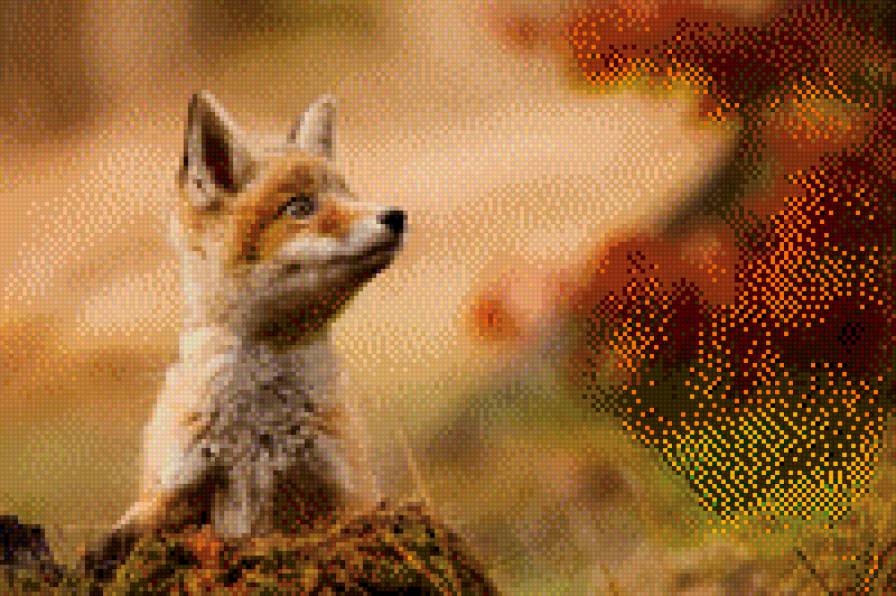 77 - предпросмотр