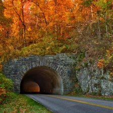 Схема вышивки «81»