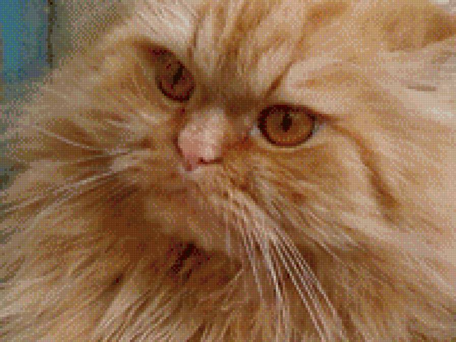 52/1 - предпросмотр