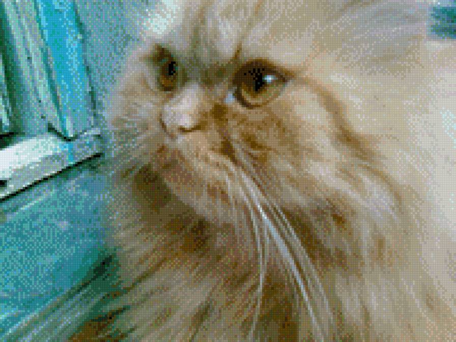 110/1 - предпросмотр