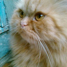 Схема вышивки «110/1»