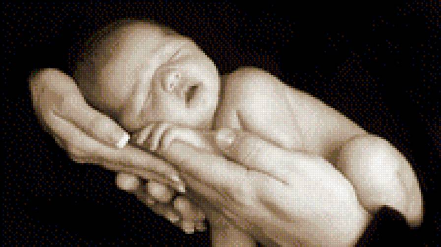 №975866 - предпросмотр