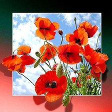 Схема вышивки «маки»