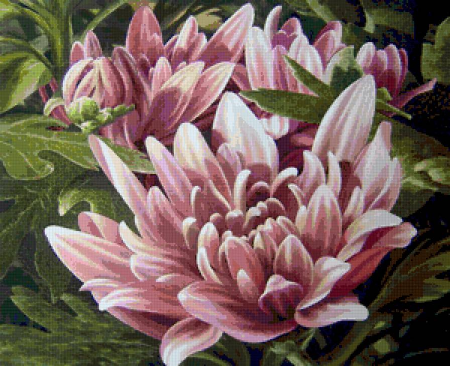 Хризантема_Филиппинский художник Альфред Галура - цветы, живопись, хризантема - предпросмотр