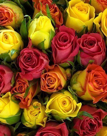 картина - цветы, красота, букет - оригинал