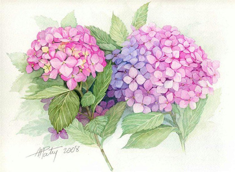 Акварель № 2 - живопись, искусство, картина, цветы - оригинал