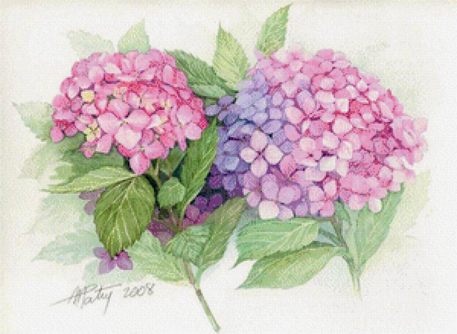 Акварель № 2 - цветы, искусство, живопись, картина - предпросмотр