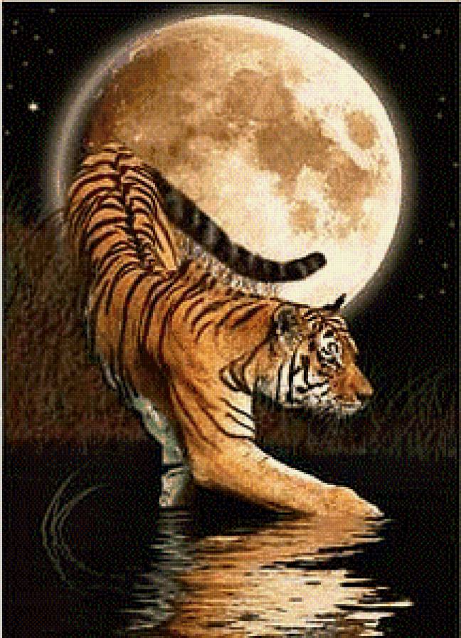 Серия "Дикая природа" - вода, ночь, тигр, луна, отражение - предпросмотр