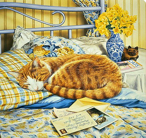 устал от чтения - кот, домашние любимцы - оригинал