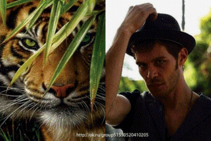 Клаус  и  тигр - тигр, актер, мужчина, фэнтези - предпросмотр