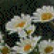 Предпросмотр схемы вышивки «Ромашковая Русь» (№976698)
