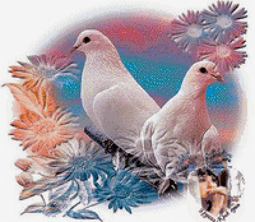 голуби - птицы - предпросмотр