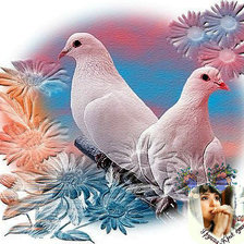 Оригинал схемы вышивки «голуби» (№976780)