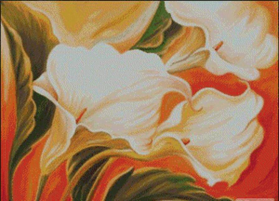 коалы - цветы - предпросмотр