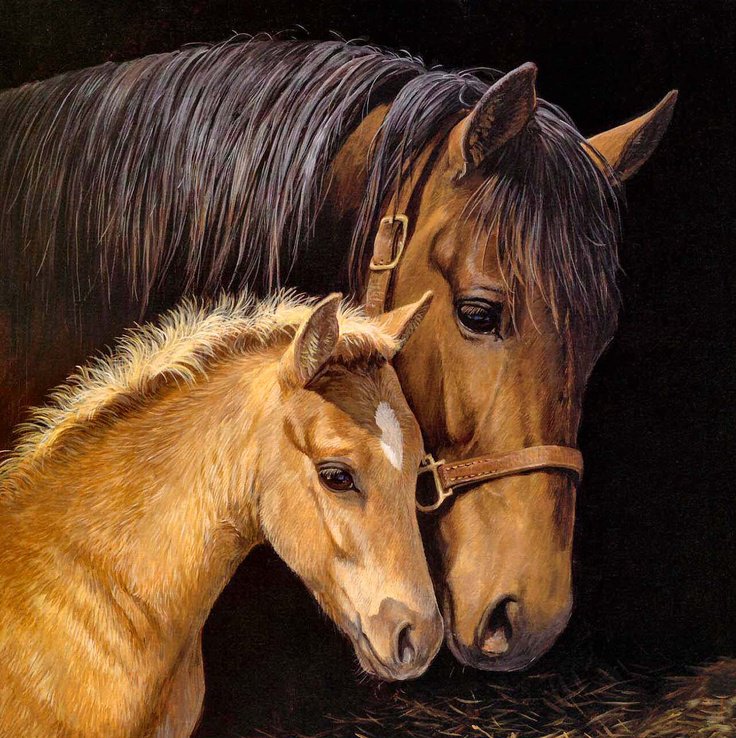 Серия "Лошади, кони" - жеребенок, мать и дитя, кобылица - оригинал
