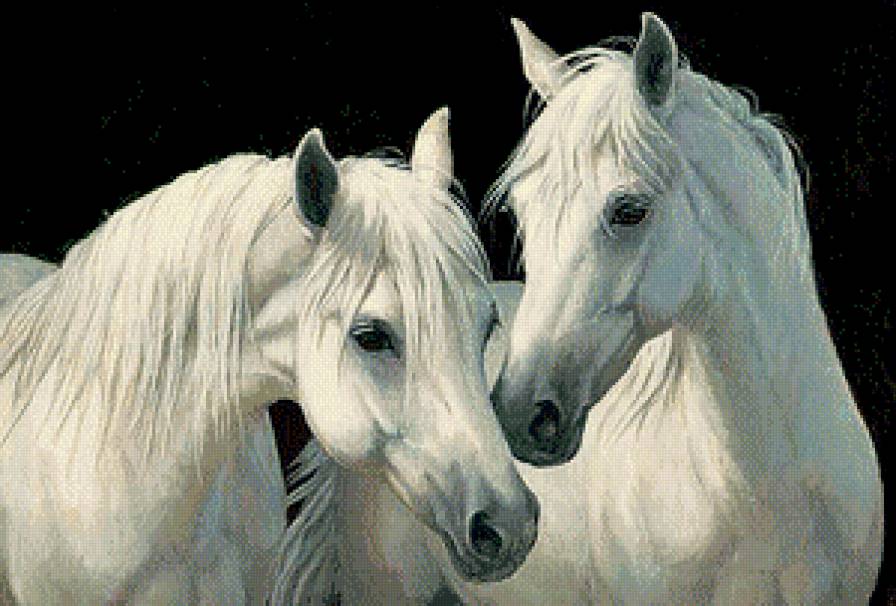 Серия "Лошади, кони" - предпросмотр