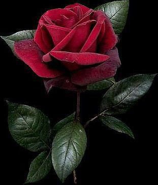 №977484 - оригинал