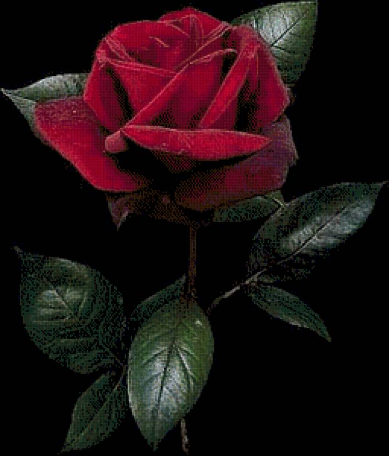 №977484 - предпросмотр