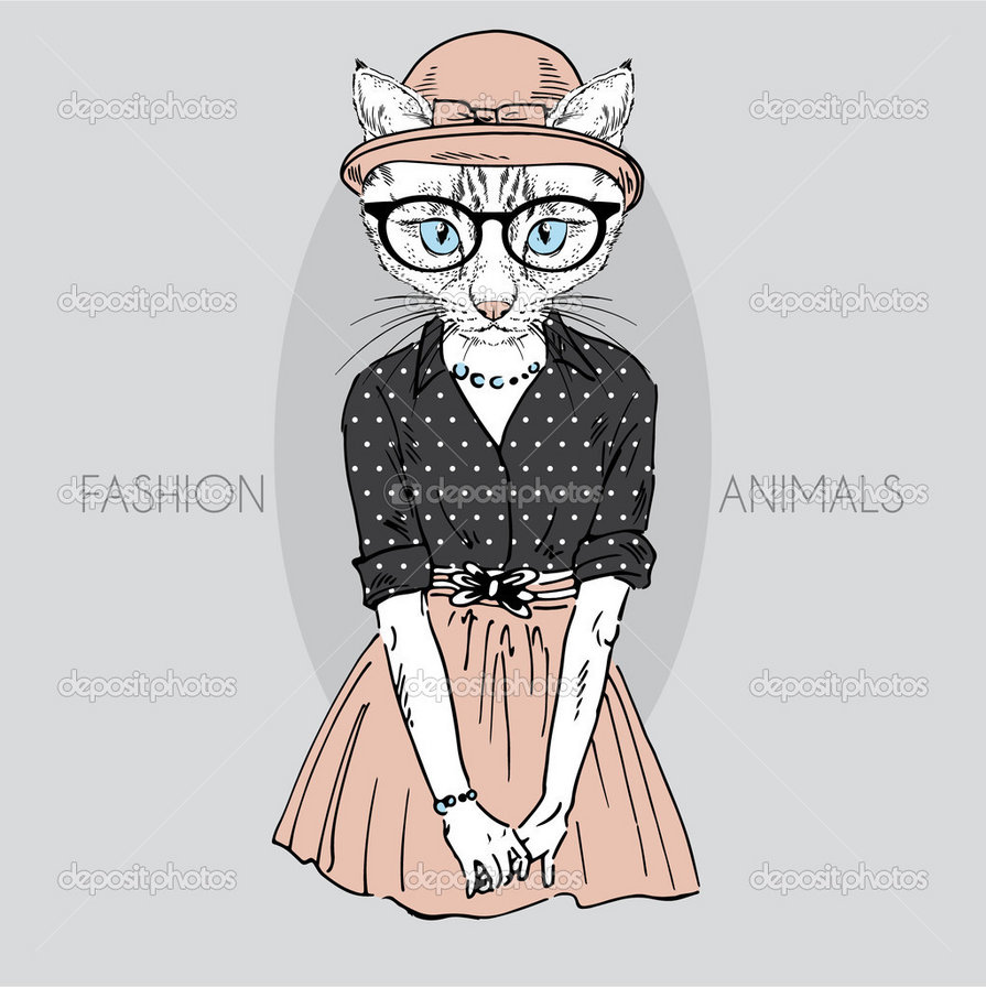 Кот - кошка, мило, стильно, кошечка, красиво, красота, кот, модница - оригинал
