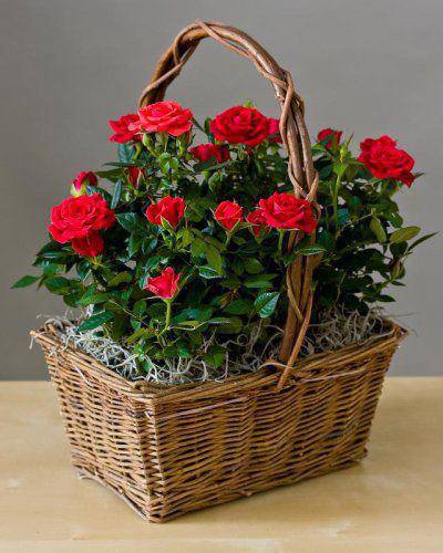 серия "корзины" - корзина.цветы. - оригинал