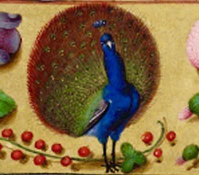 №977721 - оригинал