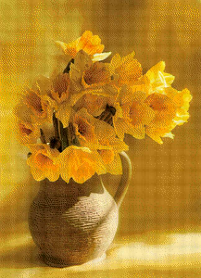 нарциссы - нарциссы - предпросмотр