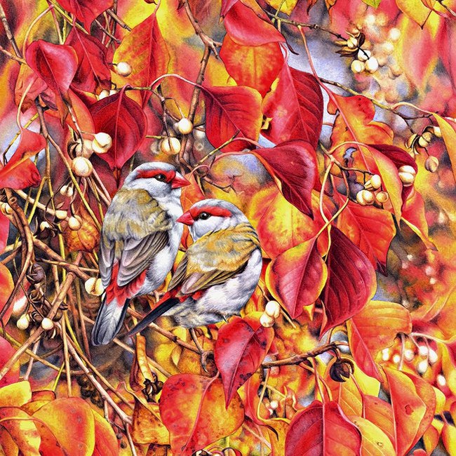 птички - птички - оригинал