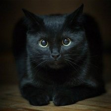 Схема вышивки «106»