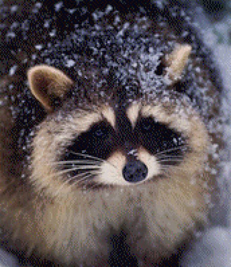 109 - предпросмотр