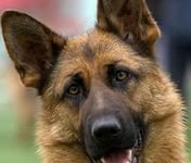 112 - оригинал