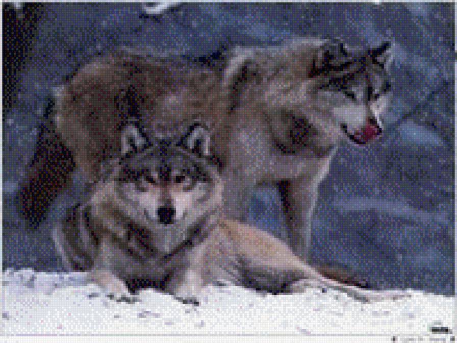 117 - предпросмотр