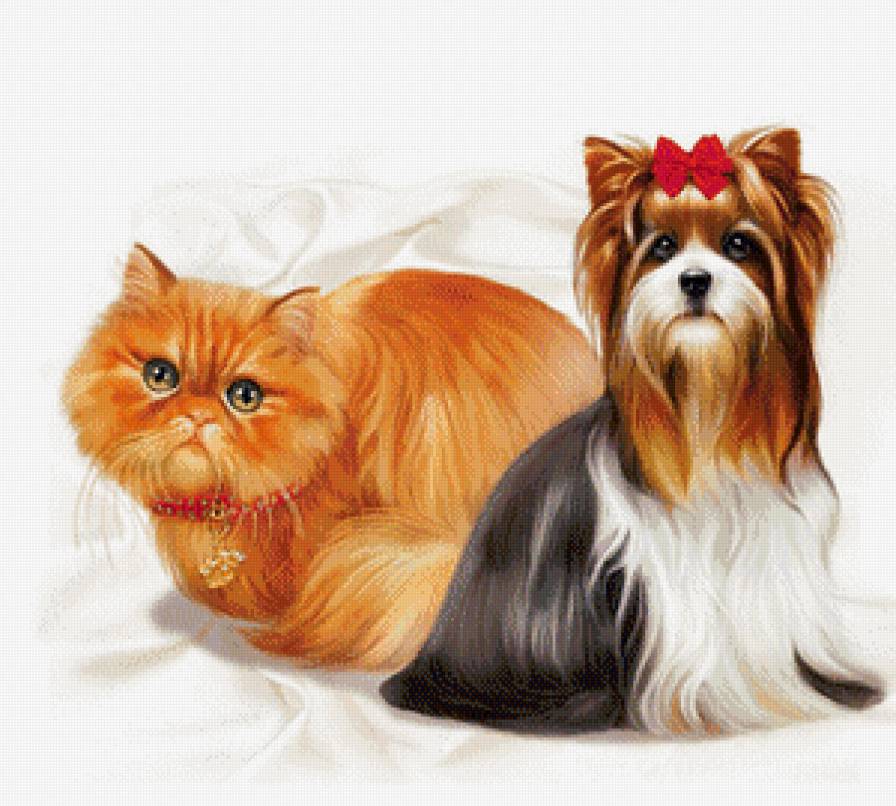 очаровательная парочка - кошка собака, кот - предпросмотр