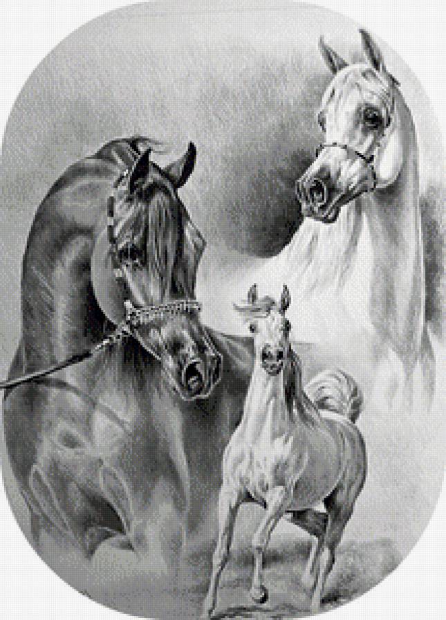 Серия "Лошади, кони" - предпросмотр